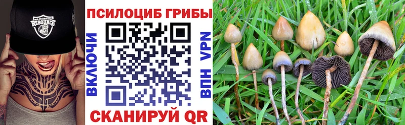 Галлюциногенные грибы прущие грибы  Купить где  Приозерск 