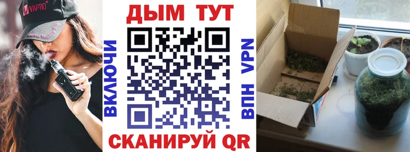 Бошки марихуана марихуана  Купить закладки  Приозерск 